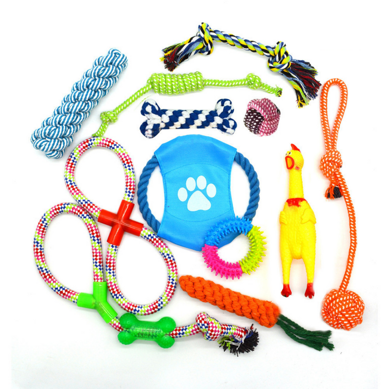 Kit Brinquedos para seu Pet